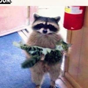 Meet your Posher, Killian